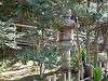 sankeien_0363_mini.jpg