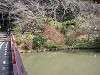 sankeien_0373_mini.jpg