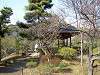 sankeien_0376_mini.jpg