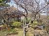 sankeien_0377_mini.jpg