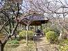 sankeien_0378_mini.jpg
