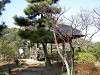 sankeien_0379_mini.jpg