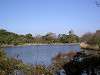 sankeien_0385_mini.jpg