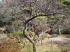 sankeien_0399_mini.jpg
