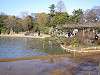sankeien_0405_mini.jpg
