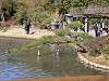 sankeien_0408_mini.jpg