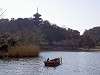 sankeien_0452_mini.jpg