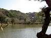 sankeien_0478_mini.jpg