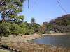 sankeien_0485_mini.jpg