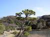 sankeien_0487_mini.jpg