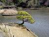 sankeien_0489_mini.jpg