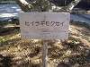 sankeien_0501_mini.jpg