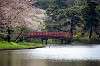 sankeien_0542_mini.jpg
