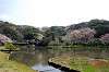 sankeien_0544_mini.jpg