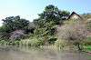 sankeien_0565_mini.jpg