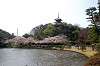 sankeien_0566_mini.jpg