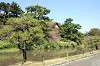 sankeien_0572_mini.jpg