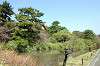 sankeien_0573_mini.jpg