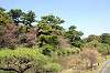 sankeien_0574_mini.jpg