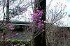 sankeien_0579_mini.jpg