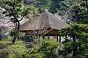 sankeien_0585_mini.jpg
