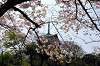 sankeien_0614_mini.jpg