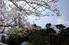 sankeien_0615_mini.jpg