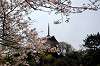 sankeien_0616_mini.jpg