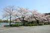 sankeien_0619_mini.jpg