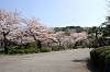 sankeien_0620_mini.jpg