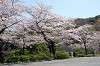 sankeien_0621_mini.jpg