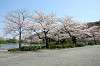 sankeien_0622_mini.jpg