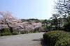 sankeien_0623_mini.jpg