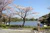 sankeien_0636_mini.jpg