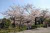 sankeien_0637_mini.jpg