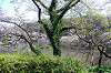 sankeien_0652_mini.jpg