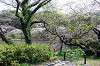 sankeien_0654_mini.jpg