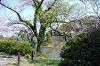 sankeien_0655_mini.jpg