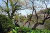 sankeien_0656_mini.jpg