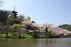 sankeien_0693_mini.jpg