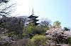 sankeien_0695_mini.jpg