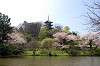 sankeien_0699_mini.jpg