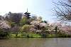 sankeien_0700_mini.jpg