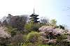 sankeien_0702_mini.jpg