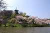 sankeien_0705_mini.jpg