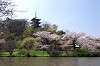 sankeien_0706_mini.jpg