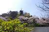 sankeien_0708_mini.jpg