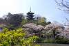 sankeien_0709_mini.jpg