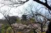sankeien_0710_mini.jpg