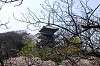 sankeien_0711_mini.jpg